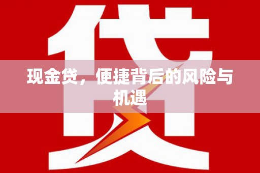 莺歌现金贷，便捷背后的风险与机遇