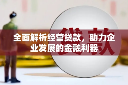 莺歌全面解析经营贷款，助力企业发展的金融利器
