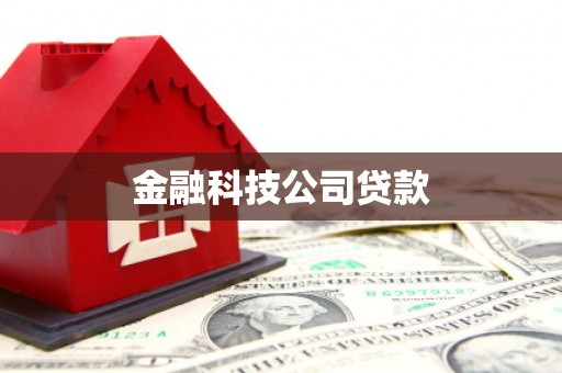 莺歌金融科技公司贷款