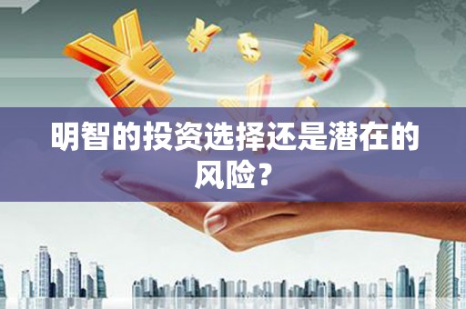 莺歌明智的投资选择还是潜在的风险？