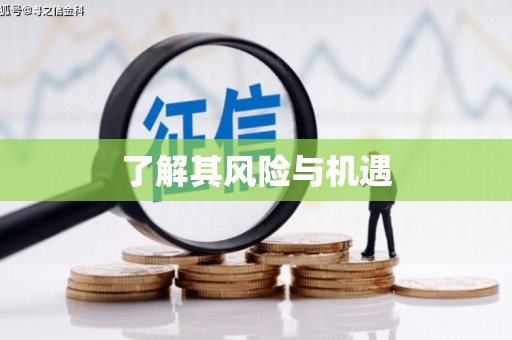 莺歌了解其风险与机遇