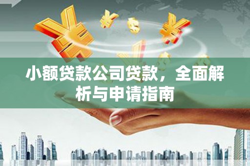 莺歌小额贷款公司贷款，全面解析与申请指南