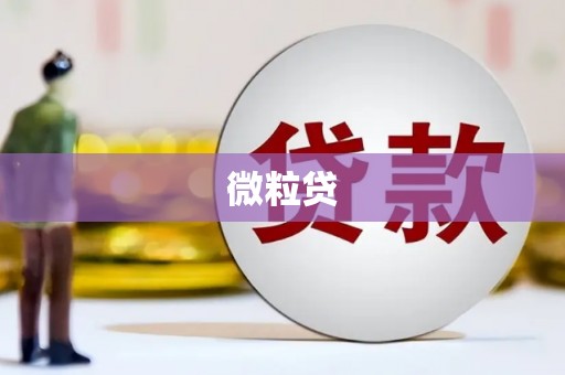 莺歌微粒贷