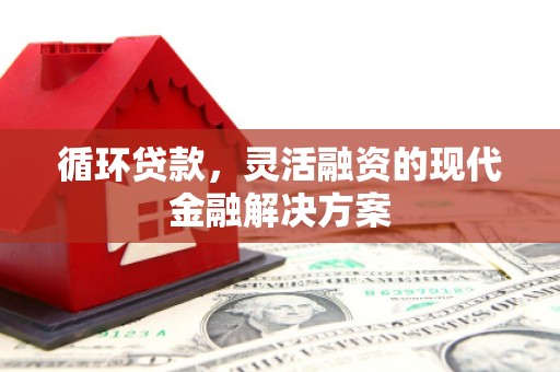 莺歌循环贷款，灵活融资的现代金融解决方案