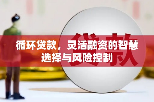 莺歌循环贷款，灵活融资的智慧选择与风险控制