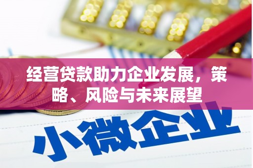 莺歌经营贷款助力企业发展，策略、风险与未来展望