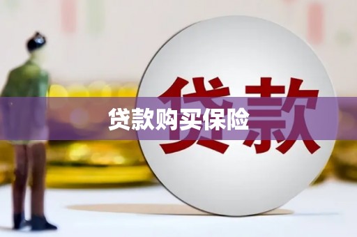 莺歌贷款购买保险