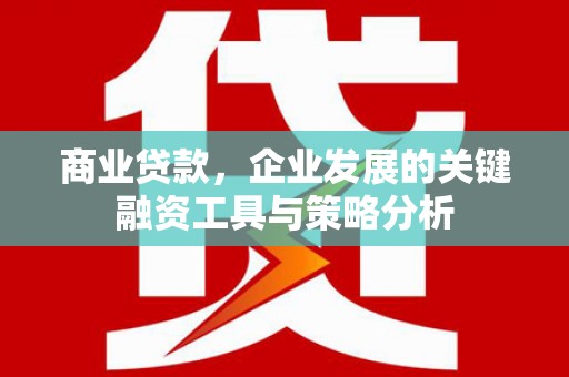 莺歌商业贷款，企业发展的关键融资工具与策略分析