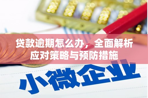 莺歌贷款逾期怎么办，全面解析应对策略与预防措施