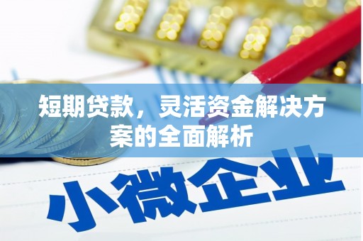 莺歌短期贷款，灵活资金解决方案的全面解析
