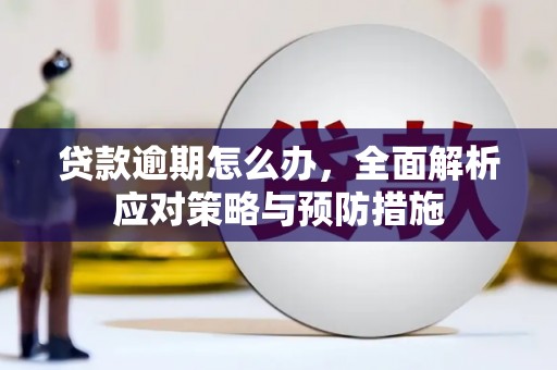 莺歌贷款逾期怎么办，全面解析应对策略与预防措施