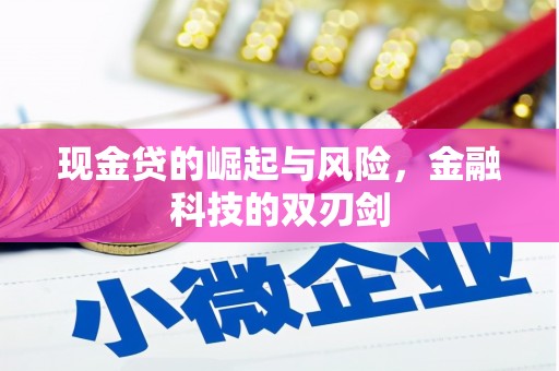 莺歌现金贷的崛起与风险，金融科技的双刃剑