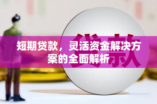 莺歌短期贷款，灵活资金解决方案的全面解析