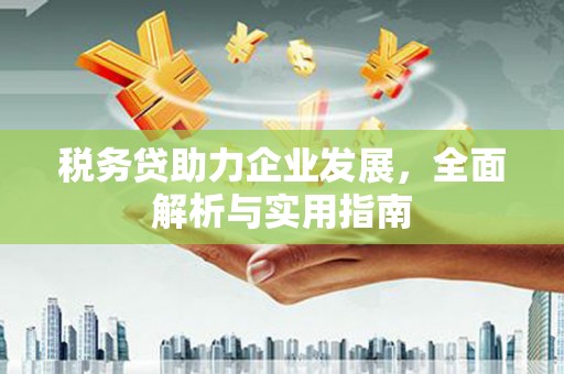 莺歌税务贷助力企业发展，全面解析与实用指南