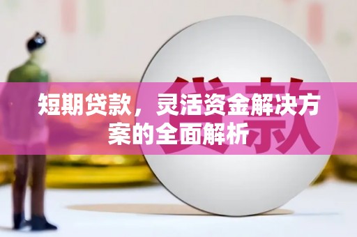 莺歌短期贷款，灵活资金解决方案的全面解析