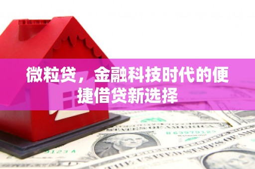 莺歌微粒贷，金融科技时代的便捷借贷新选择
