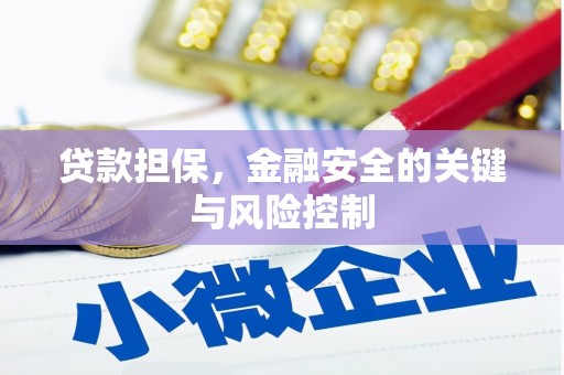 莺歌贷款担保，金融安全的关键与风险控制