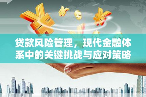 莺歌贷款风险管理，现代金融体系中的关键挑战与应对策略