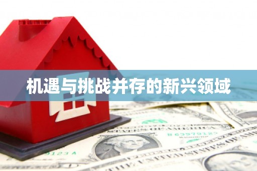 莺歌机遇与挑战并存的新兴领域